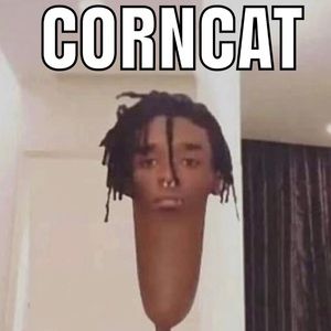 Meet your Posher, Jackson